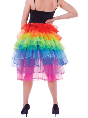 Rainbow Bustle Skirt